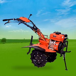 13955-7GMOrenge.jpg