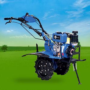 7952-5DM.jpg